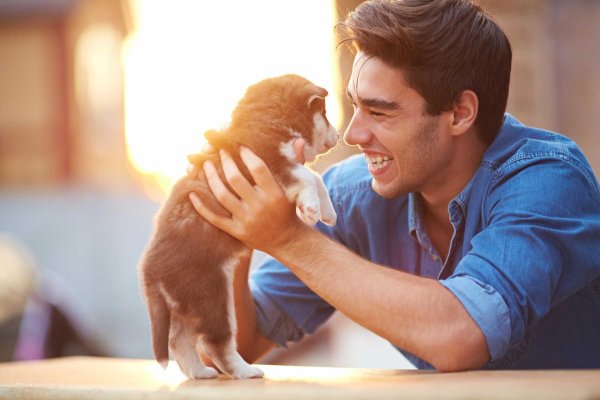 мужчина любит животных