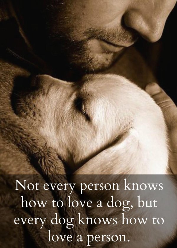 любовь к животным