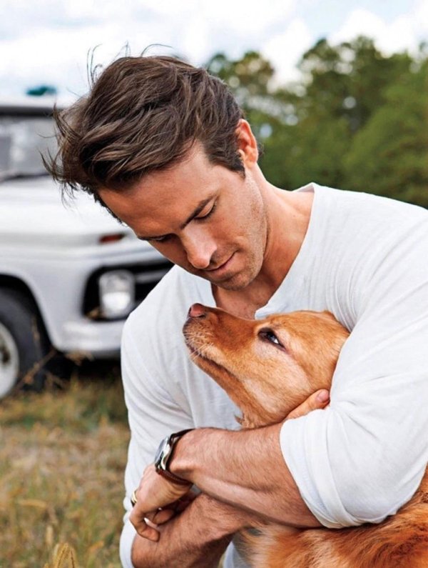 райан рейнольдс