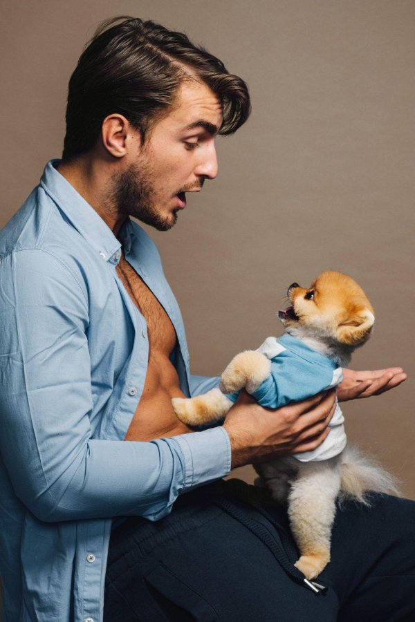 лиам пейн с щенками