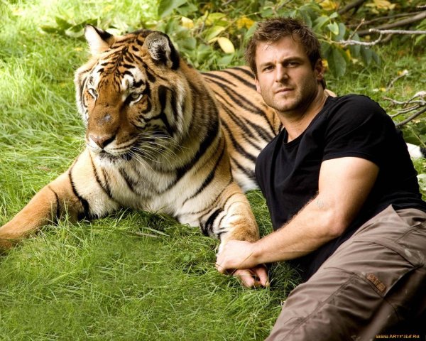 dave salmoni