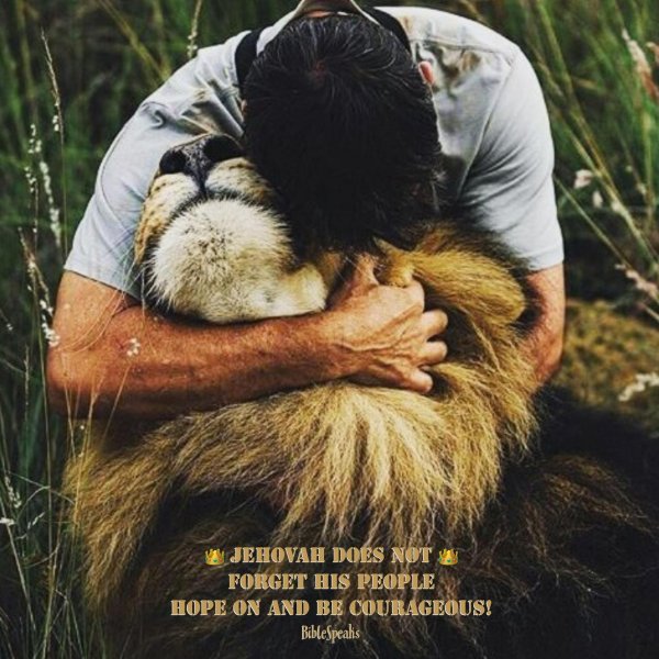 дружба людей