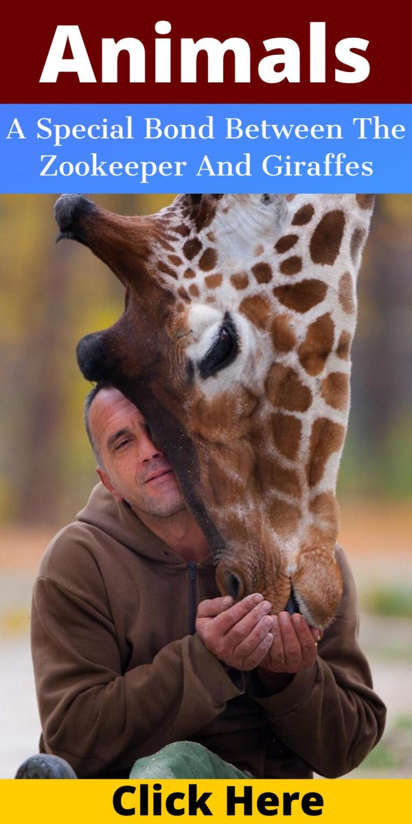 смотритель зоопарка