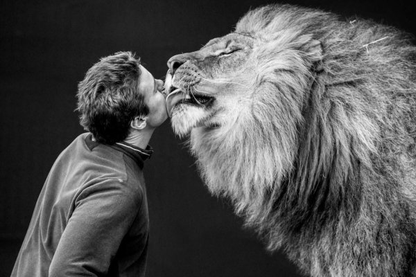 lion tamer