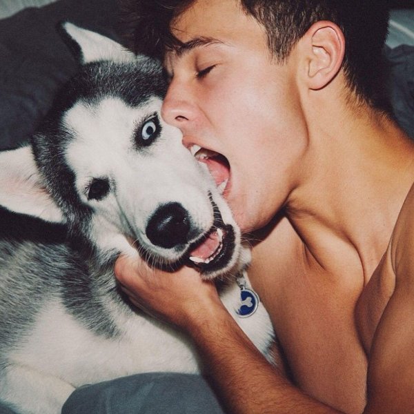 камерон даллас в собака