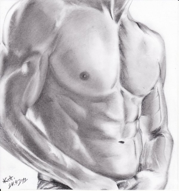 рисунок мужского торса