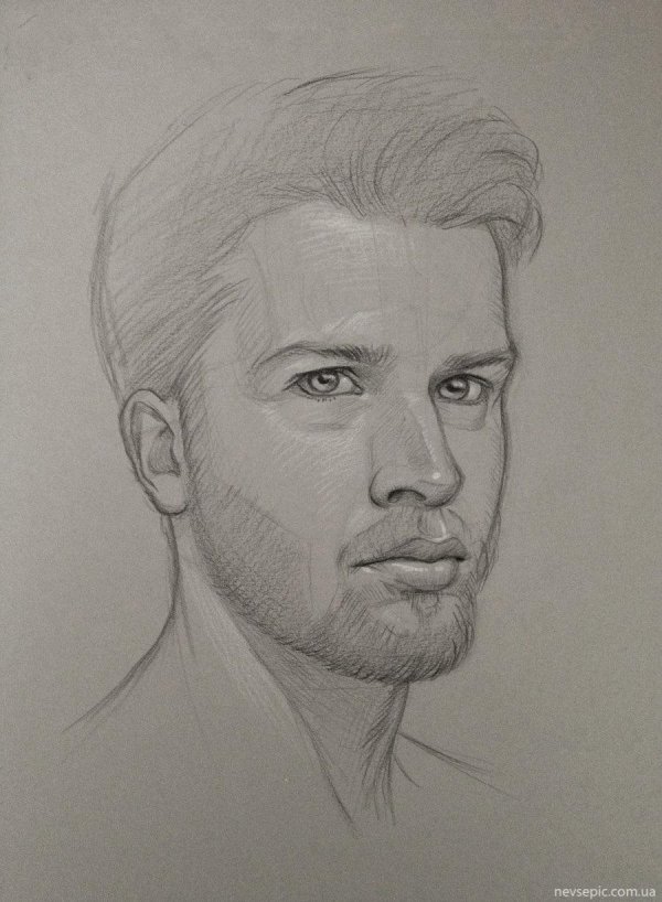 дима билан портрет карандашом