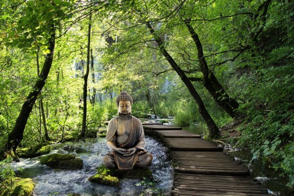 природа будды