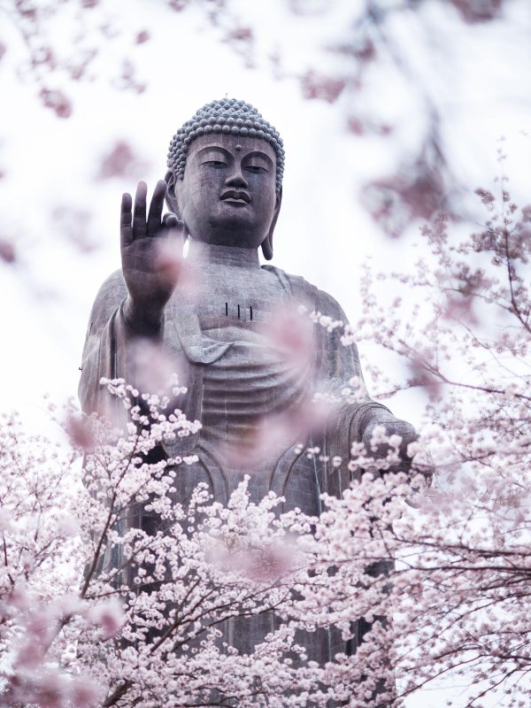 статуя будды япония