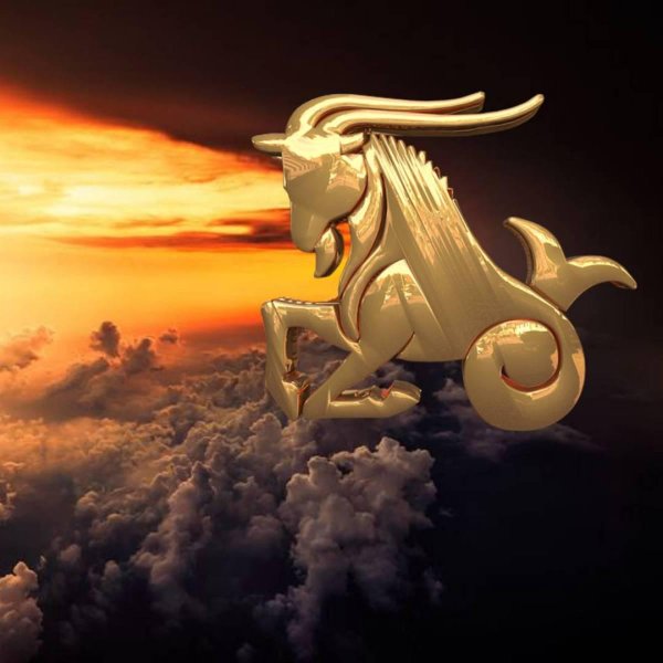 для козерога