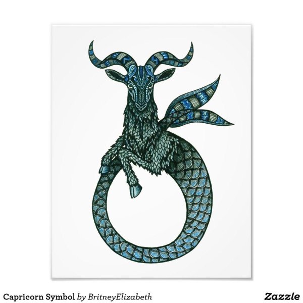 козерог животное