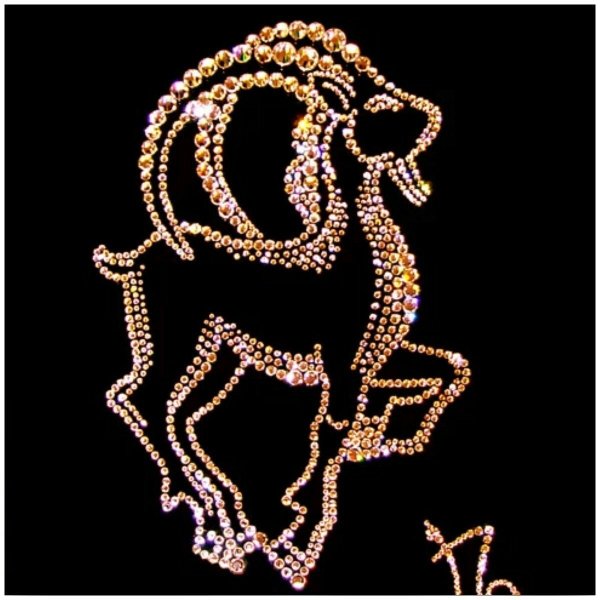 козерог камень талисман