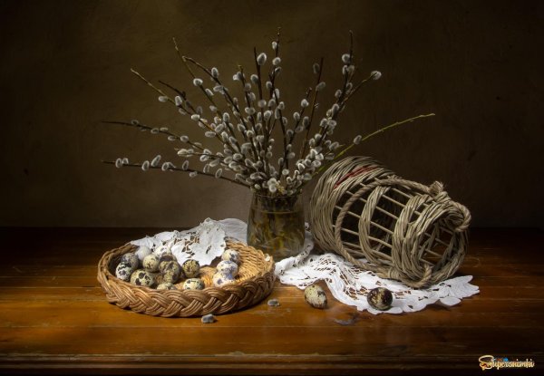 натюрморт с вербами