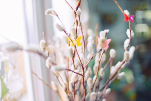 вербное воскресение