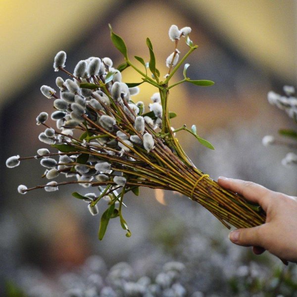 вербное воскресение