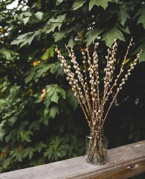 букетик вербы