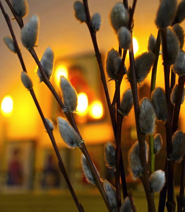 вербное воскресение