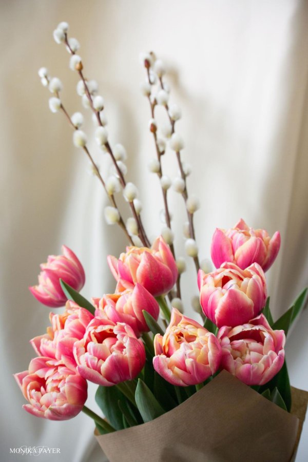 тюльпаны пинтерест