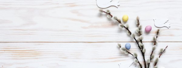 фотофон верба