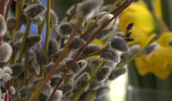 вербное воскресение