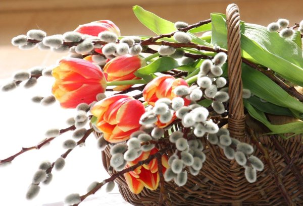 с вербным воскресеньем