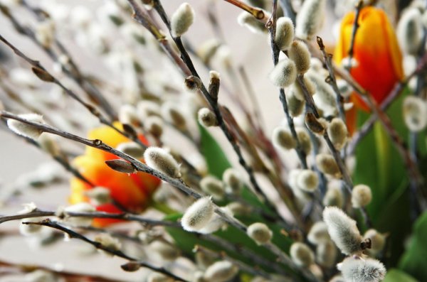 вербное воскресенье праздник