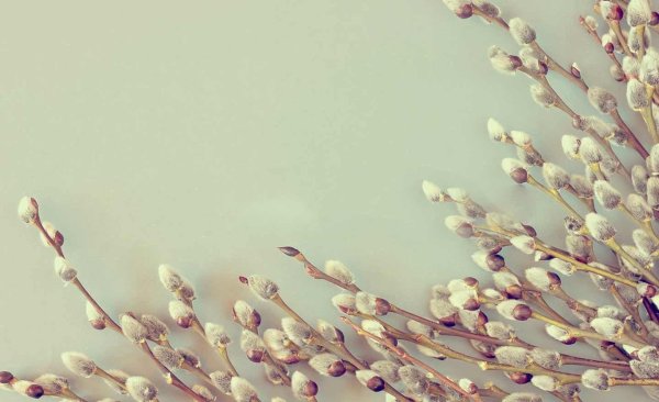 вербное воскресение