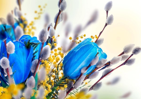 вербное воскресение