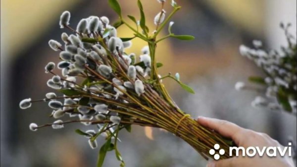 вербное воскресение