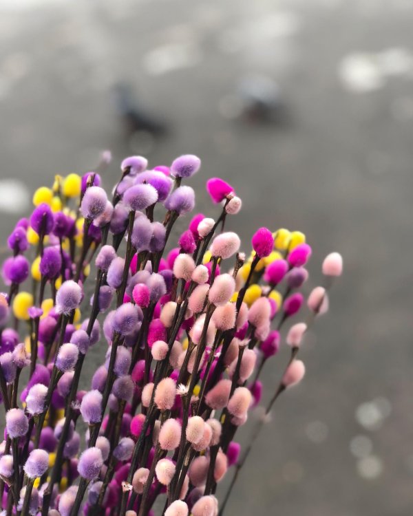 украшение вербы