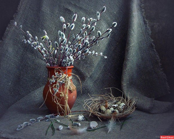 натюрморт с вербами