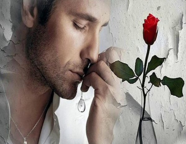 прощай моя любовь