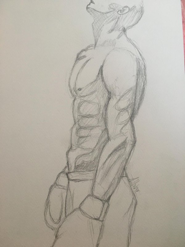 рисунок мужского торса