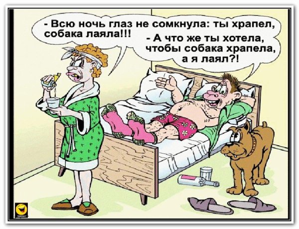анекдоты карикатуры