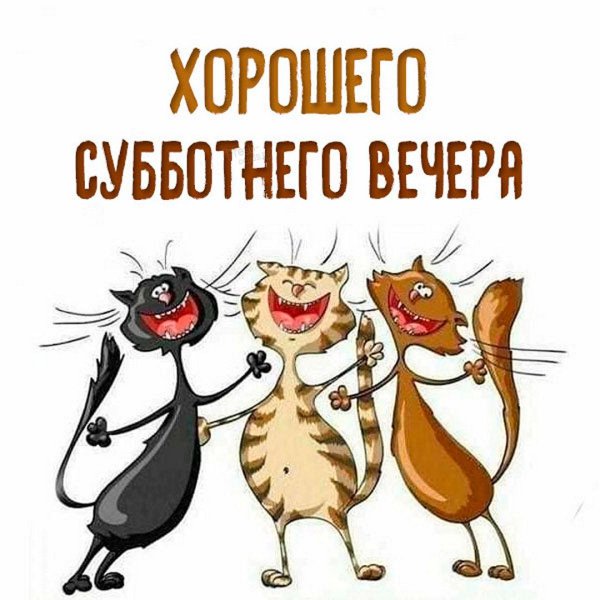 поющие коты