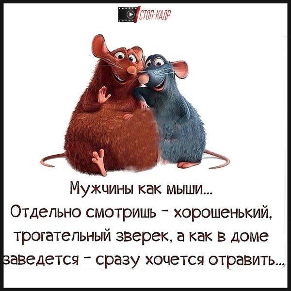 эмиль рататуй