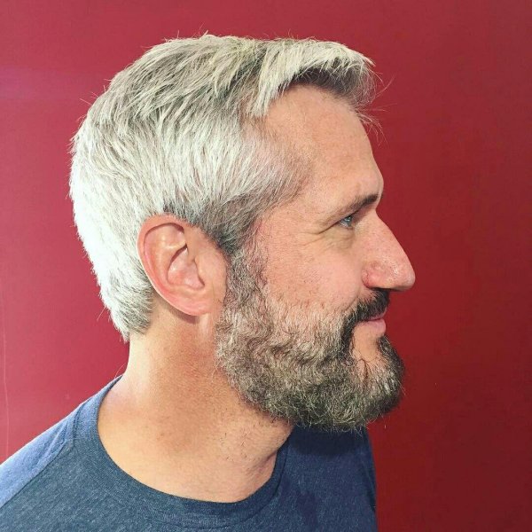 седая борода у мужчин