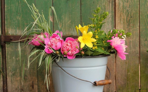 ведро с цветами