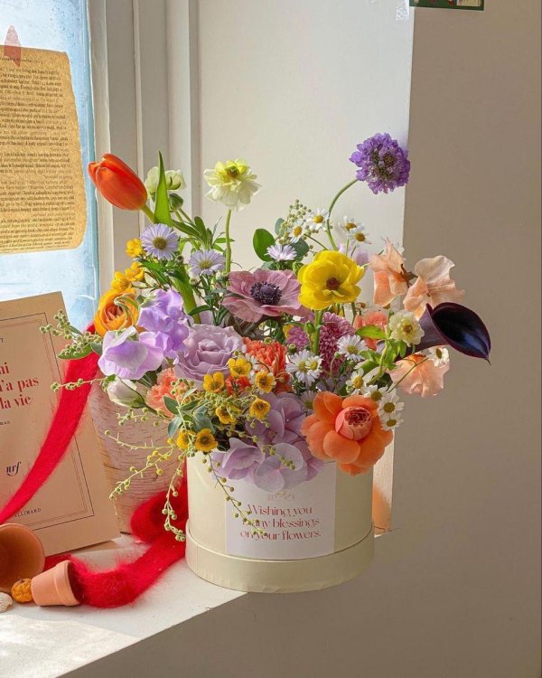 шляпная коробка