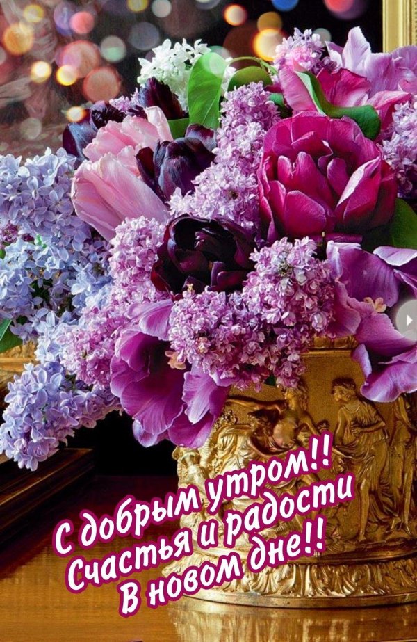 доброе утро с сиренью