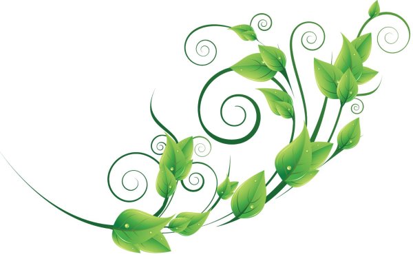 веточка зеленая