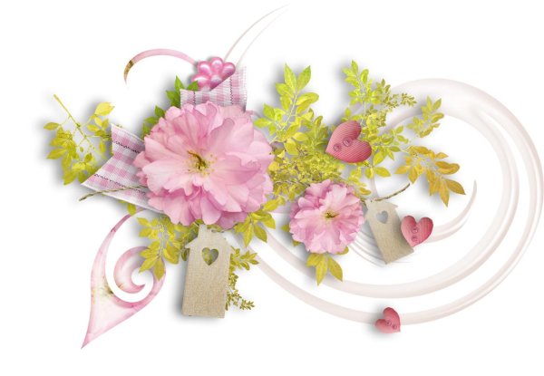 клипарт цветок