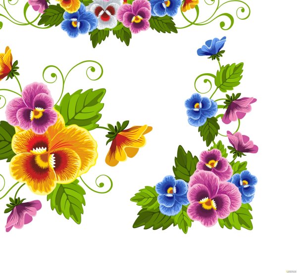 анютины глазки