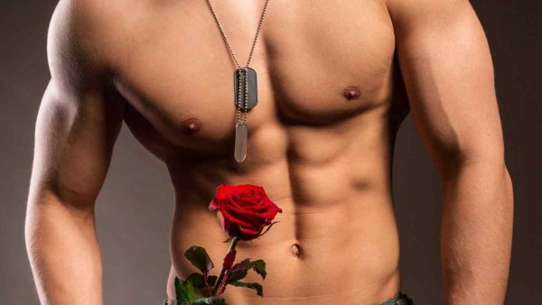 красивый торс