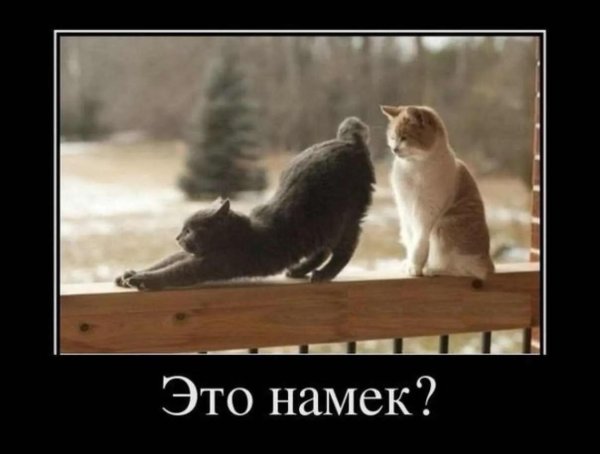 демотиваторы поцелуй