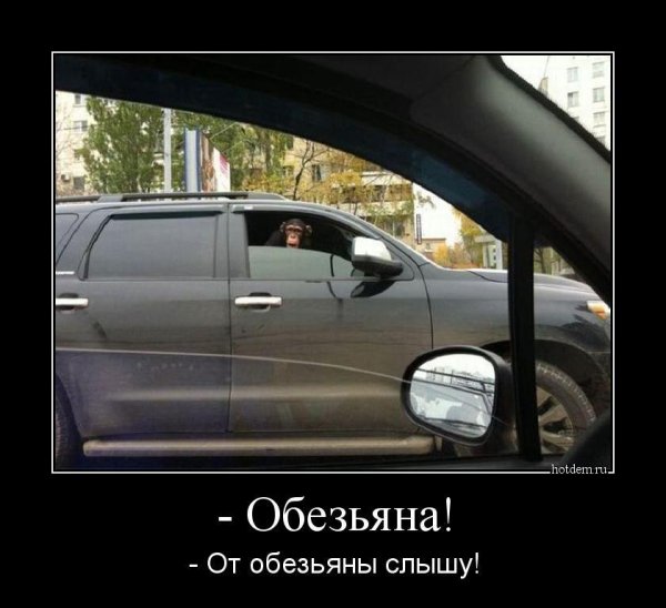 прикольная тонировка авто