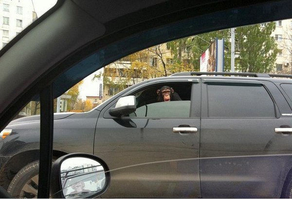 машина без тонировки