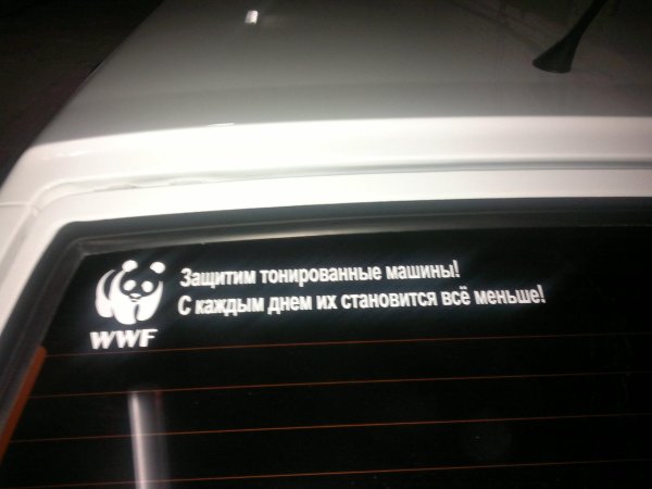 защитим тонированные автомобили
