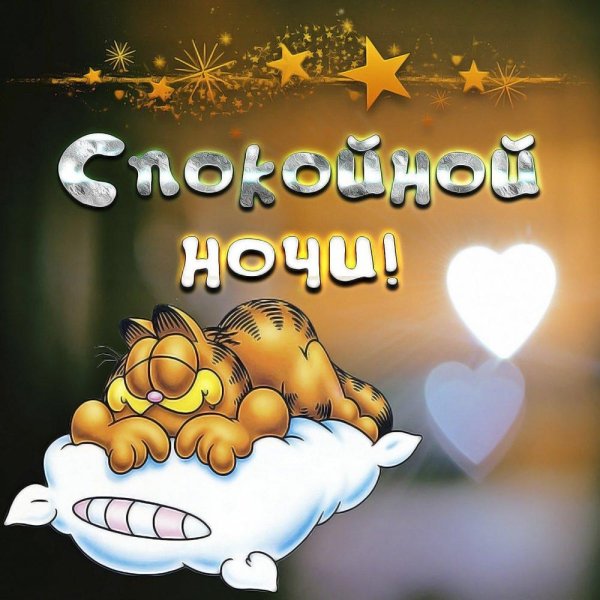 спокойной ночи