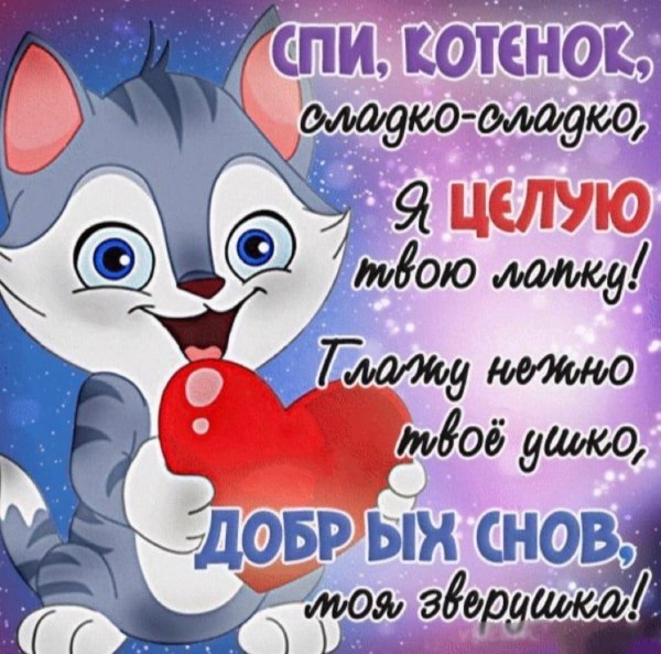 привет любимый